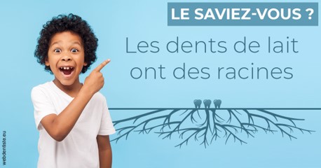 https://dr-renoux-alain.chirurgiens-dentistes.fr/Les dents de lait 2