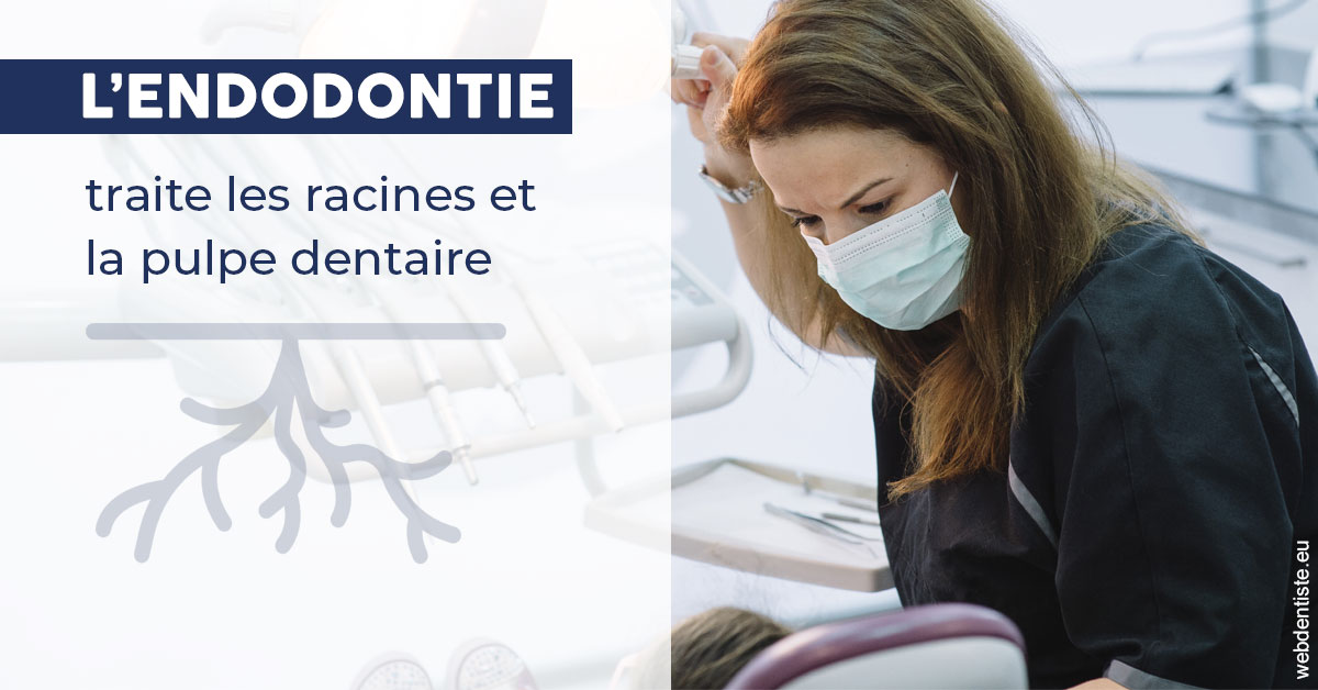 https://dr-renoux-alain.chirurgiens-dentistes.fr/L'endodontie 1