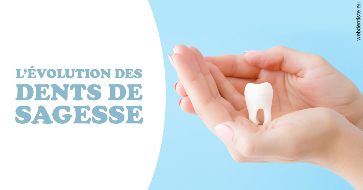 https://dr-renoux-alain.chirurgiens-dentistes.fr/Evolution dents de sagesse 1