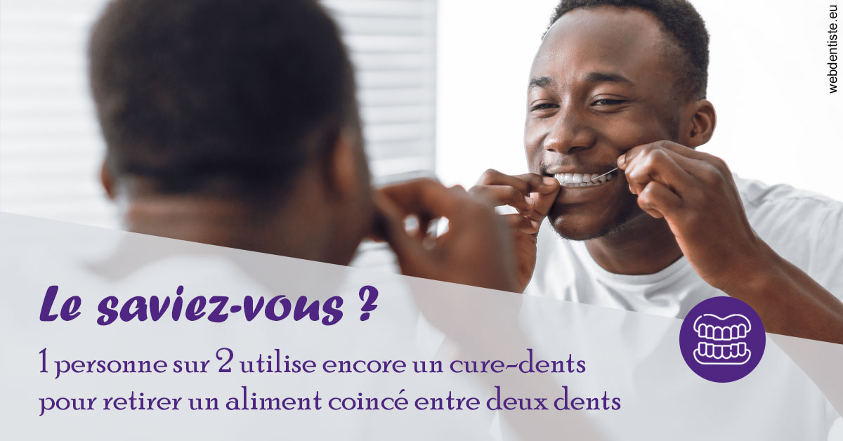https://dr-renoux-alain.chirurgiens-dentistes.fr/Cure-dents 2