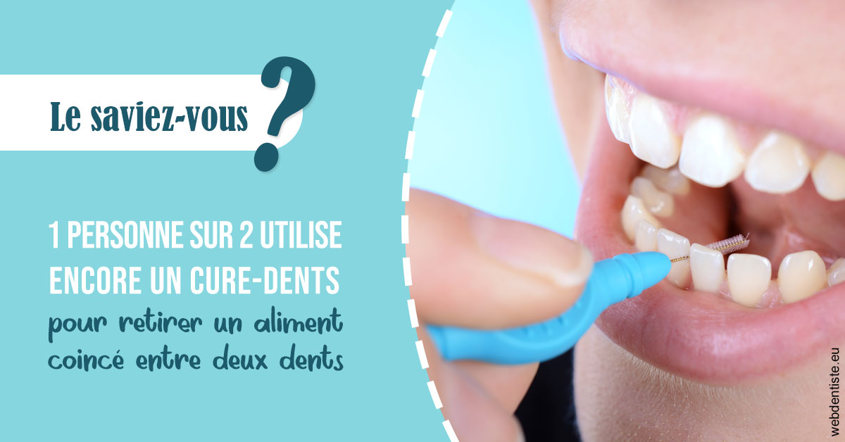 https://dr-renoux-alain.chirurgiens-dentistes.fr/Cure-dents 1